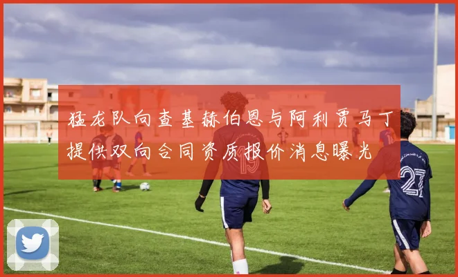 猛龙队向查基赫伯恩与阿利贾马丁提供双向合同资质报价消息曝光