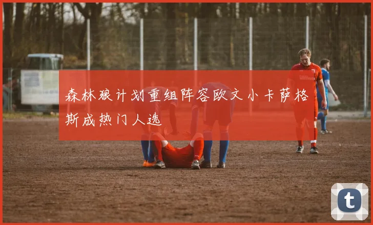 森林狼计划重组阵容欧文小卡萨格斯成热门人选